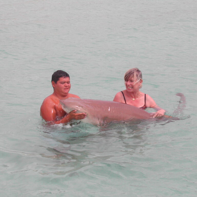 צביה שוחה עם כריש צמחוני בקאזומל, מקסיקו