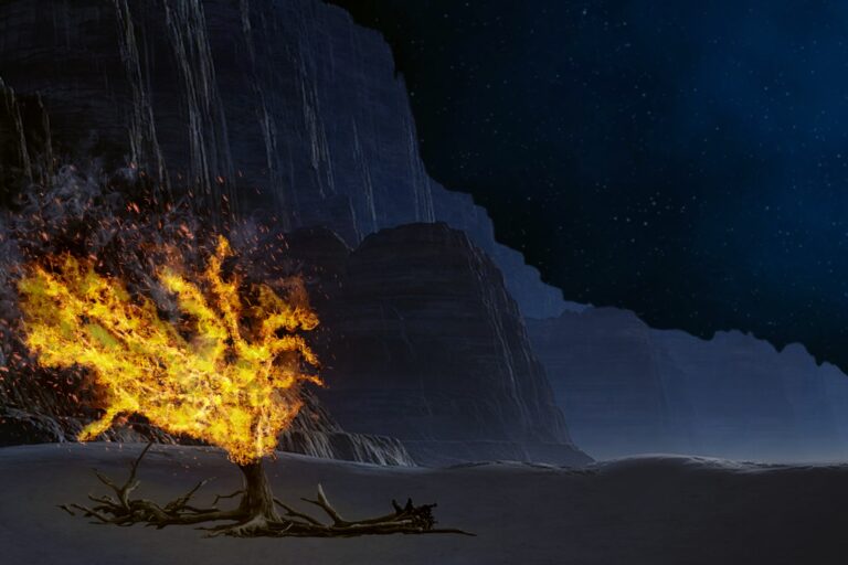 אילוסטרציה: הסנה הבוער