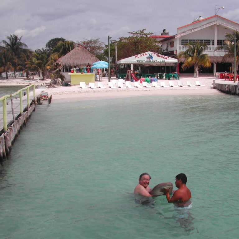 התדיידתי גם אני עם אחד מהכרישים הצמחונים