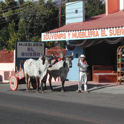 חיי יום יום במכסיקו