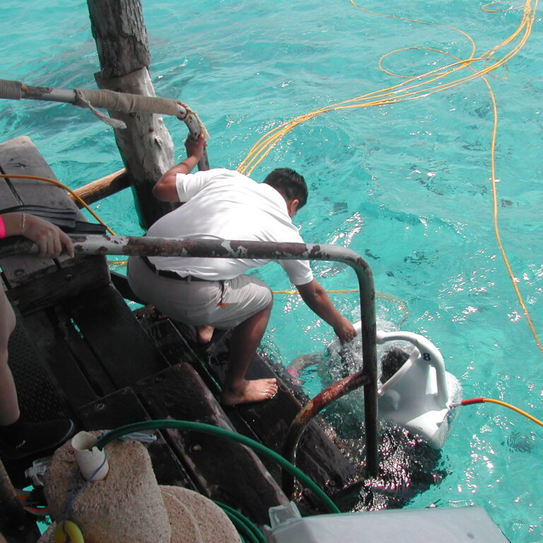 ללכת על קרקע הים מבלי לדעת לצלול