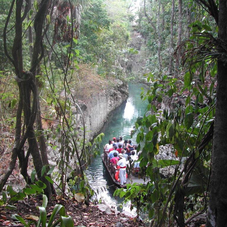 מנופי יוקטאן הפראיים