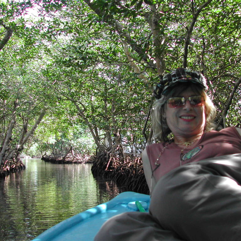 מתאים לצביה לנוח ביער מנגרובים