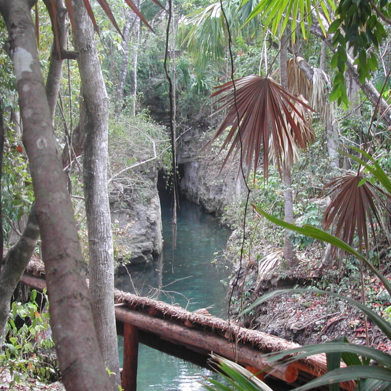 נוף הגונגל המכסיקני ביוקטן