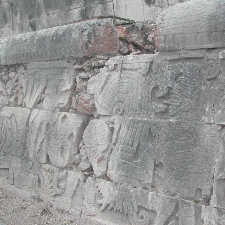 סיפורי המאיה חרוטים בסלעי המקדשים