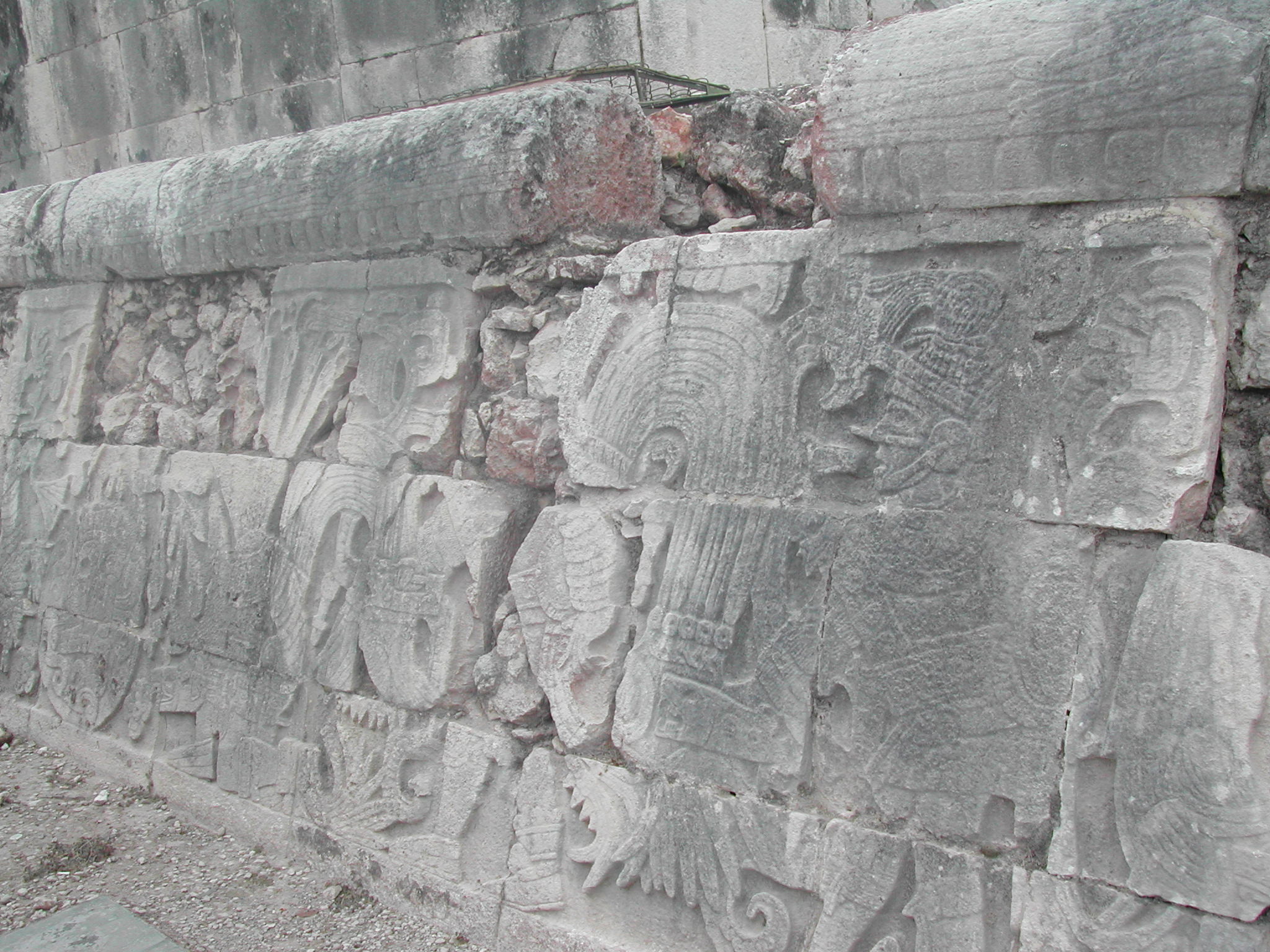 סיפורי המאיה חרוטים בסלעי המקדשים