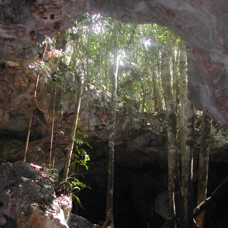 פנים המערות ביוקטן ונהרות תת קרקעיים