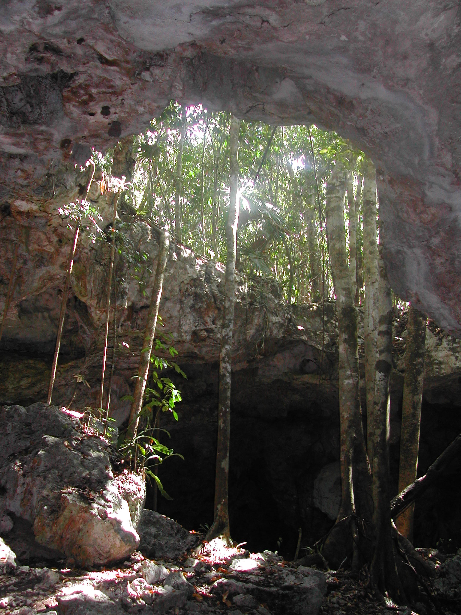 פנים המערות ביוקטן ונהרות תת קרקעיים