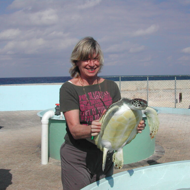 צביה מטפחת צבי ים במכסיקו