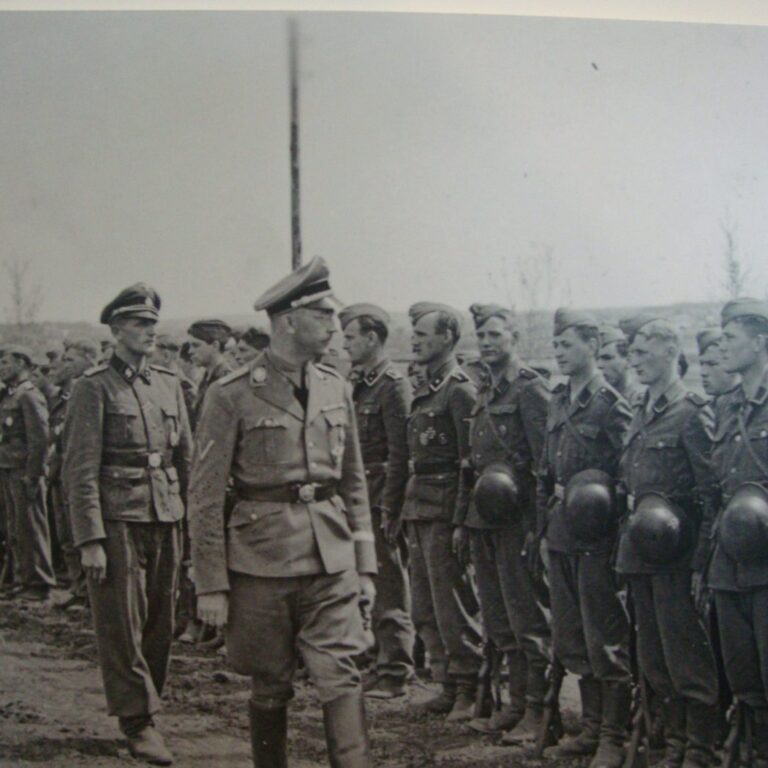 הימלר סוקר יחידה של ואפן אסאס