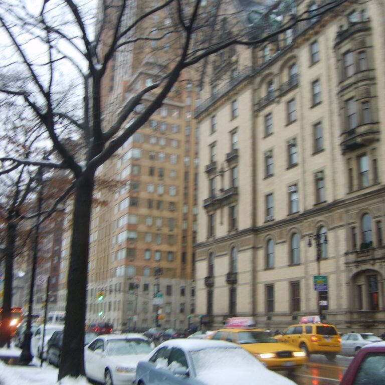 ווסט פארק בחורף