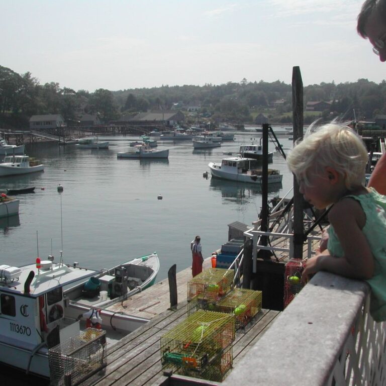 אבא וילד מתבוננים בסירות במיין