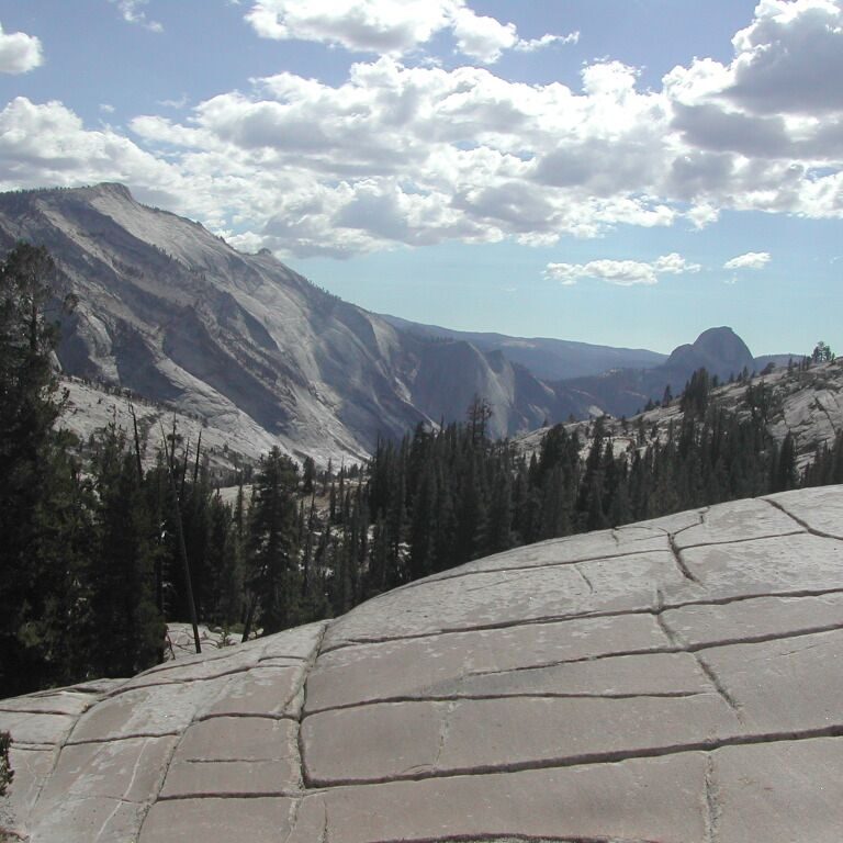 אולמסטד פוינט ביוסימיטי