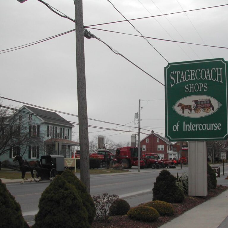 איזור המחייה של בני ההאמיש , הנטורי קרתא האמריקנים