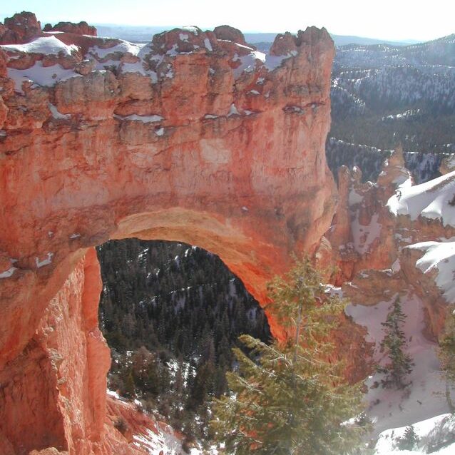 ארצ'ר פארק בחורף (פארק הקשתות)