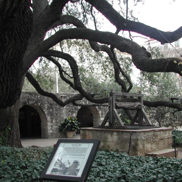 באר בסן אנטוניו, טקסס