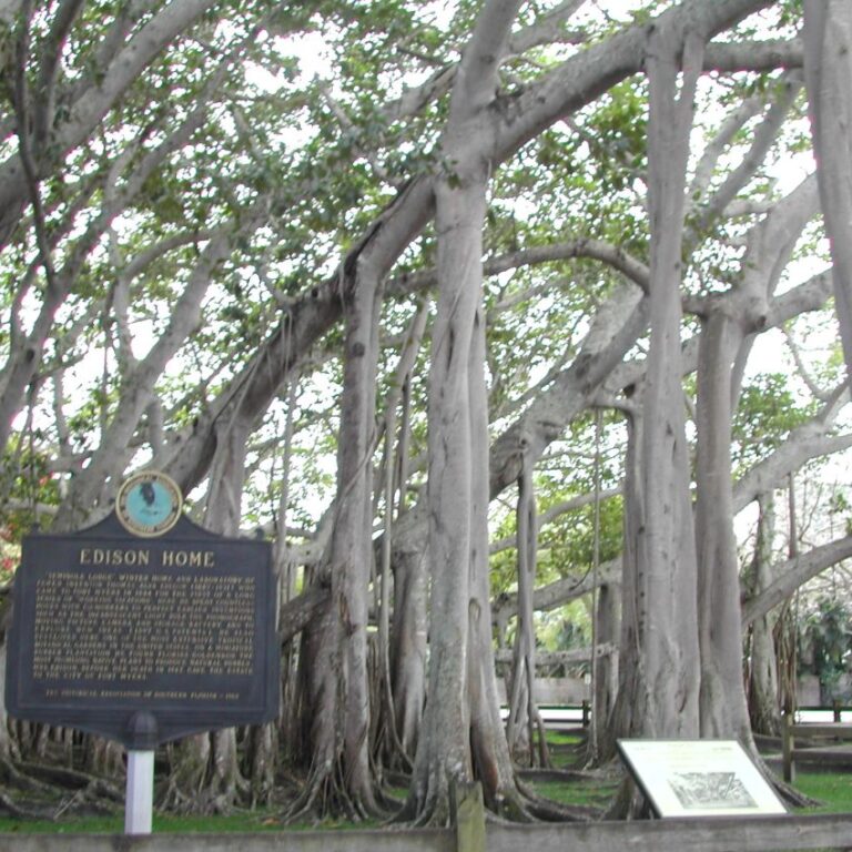 ביתו של אדיסון בדרום מערב פלורידה
