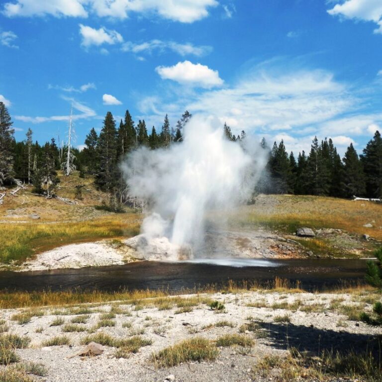 גלבסטון טקסס