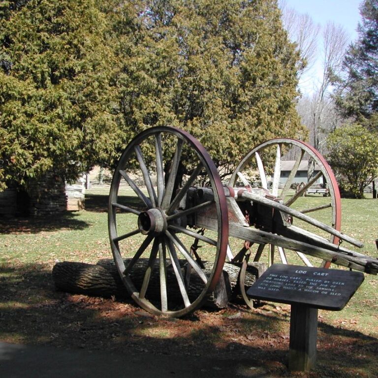 גלגלים לגרירת גזעי עצים בחווה בצרלסטון