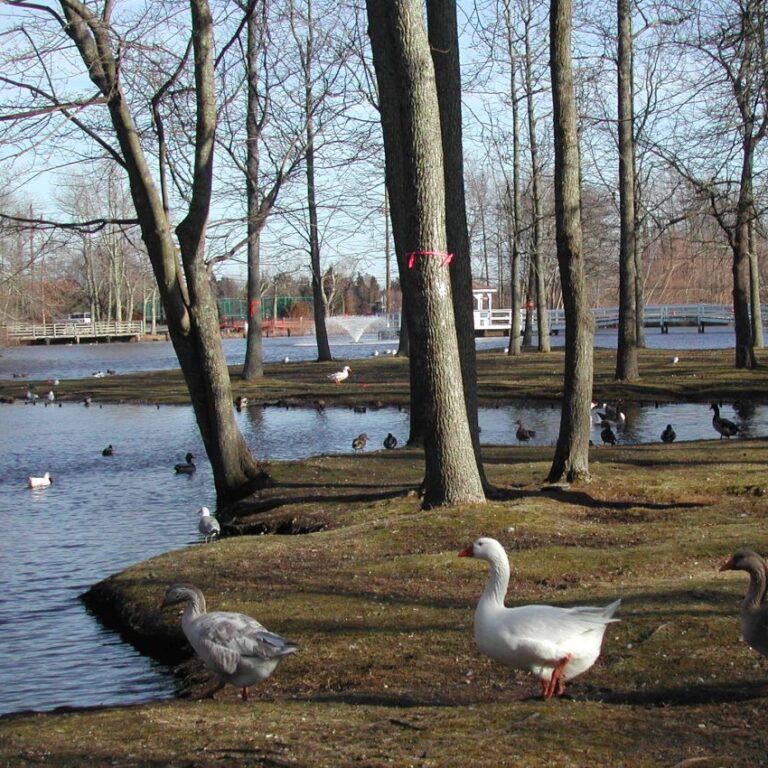גן עדן לבעלי כנף בדרום ניו ג'רסי