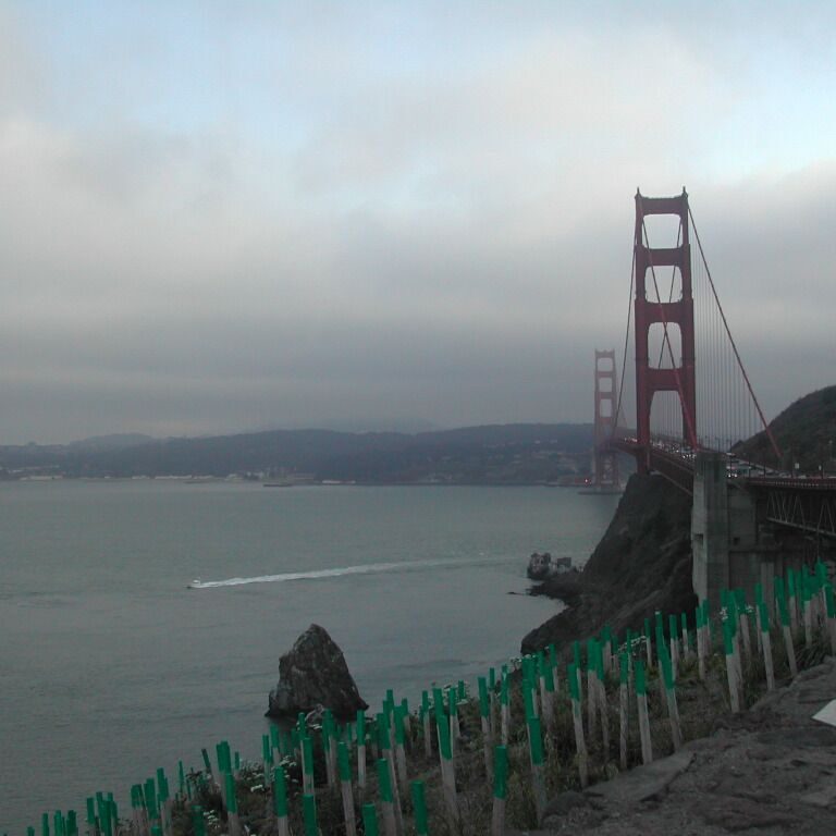 גשר גולדן גייט