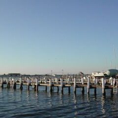 גשר העץ לעיירה ניופורט