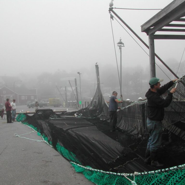 דייגים תופרים רשתות במיין