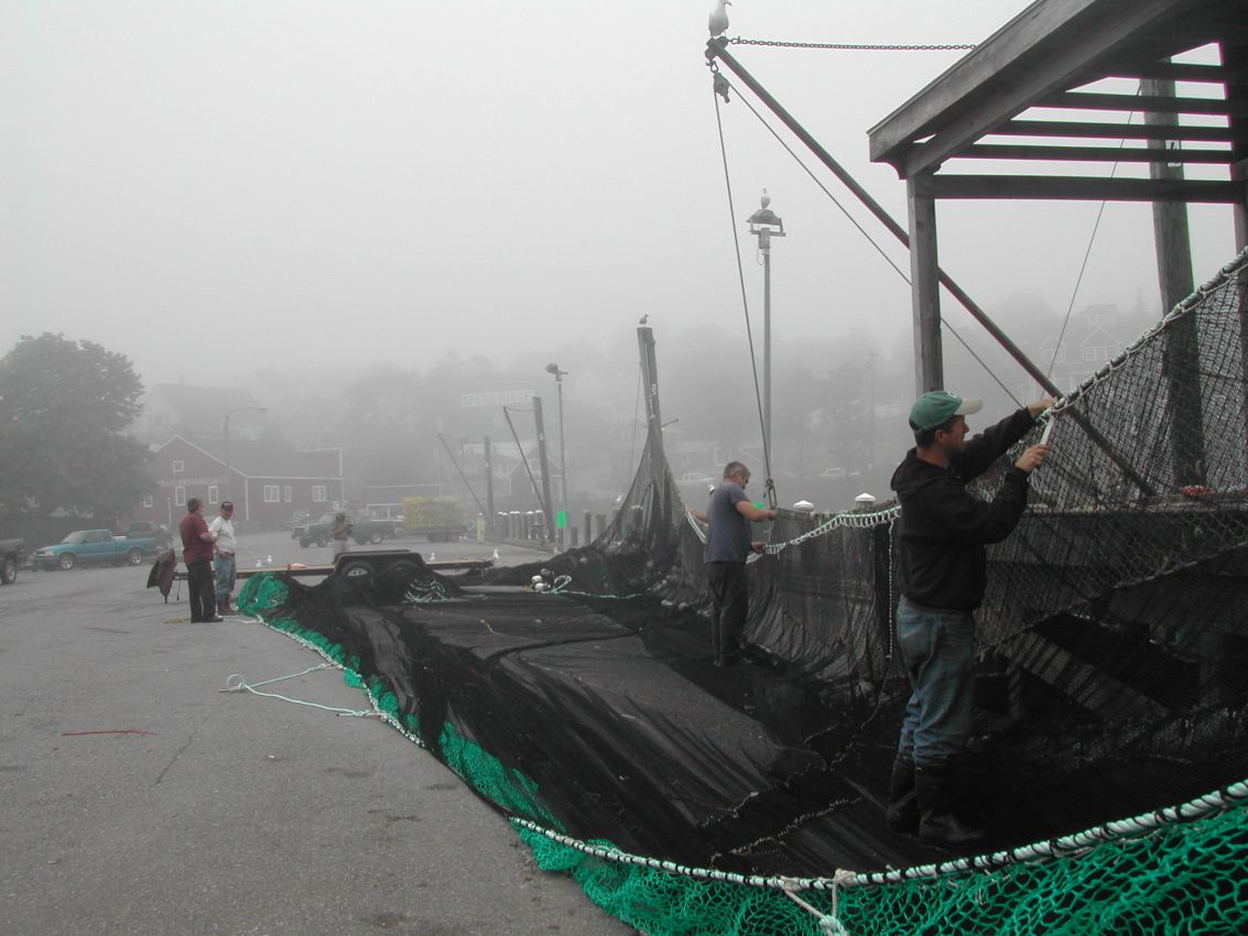 דייגים תופרים רשתות במיין