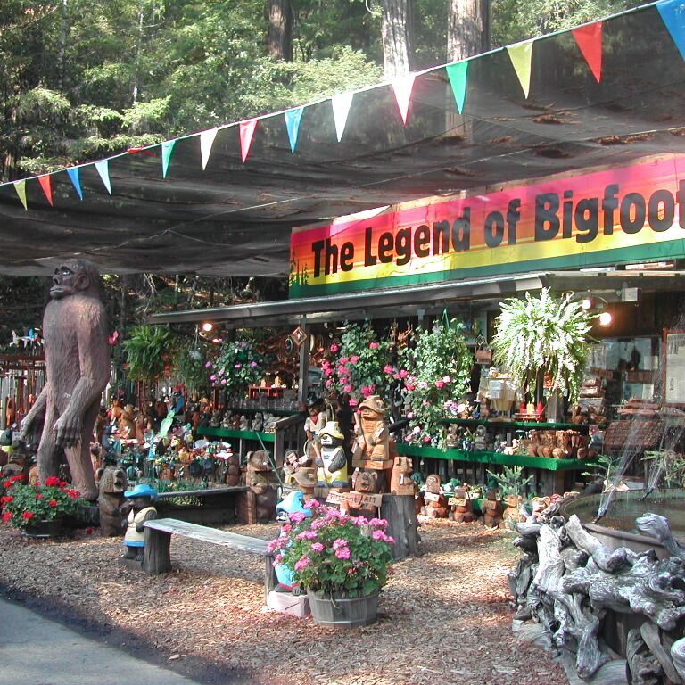 האגדה על ביג פוט חיה בצפון קליפורניה