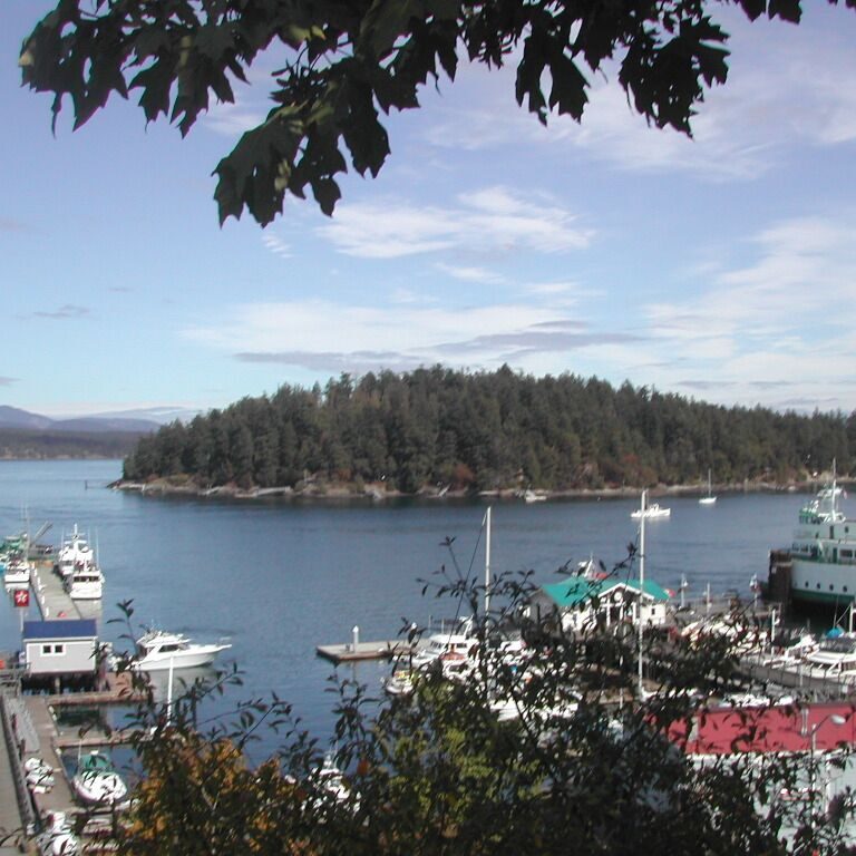 האי סאן חואן בגבול קנדה ליד בריטיש קולומביה שם פרצה כמעט מלחמה בגלל חזיר