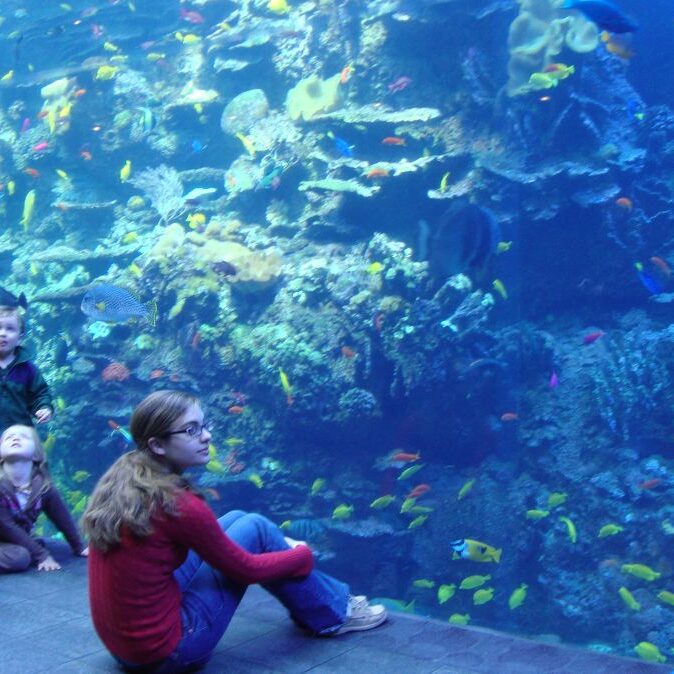 האקווריום המדהים באטלנטה