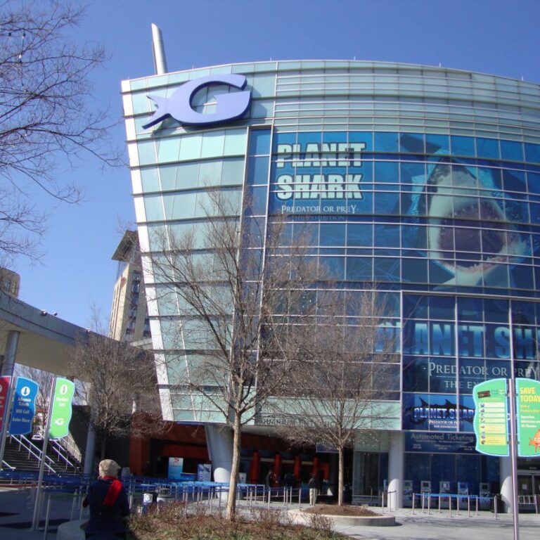 האקווריום המרשים באטלנטה