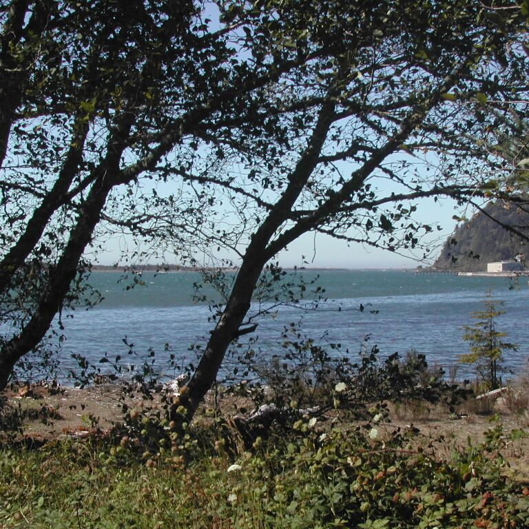 הבדל הצבעים בין מי הנהר הנשפך לים ומי הים