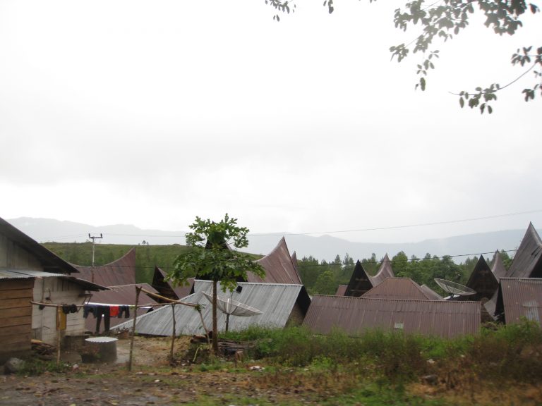 הבתים עם הגגות המחודדים של שבטי הבאטאק בסומטרה