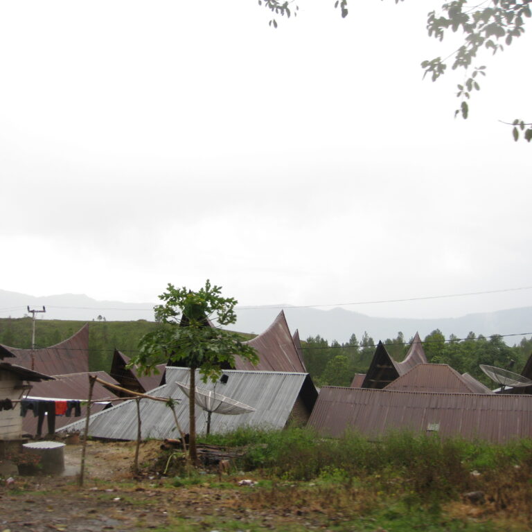 הבתים עם הגגות המחודדים של שבטי הבאטאק בסומטרה