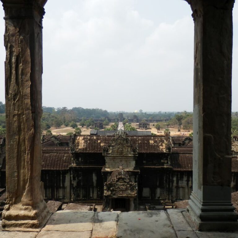 הג'ונגל מקיף את המקדש