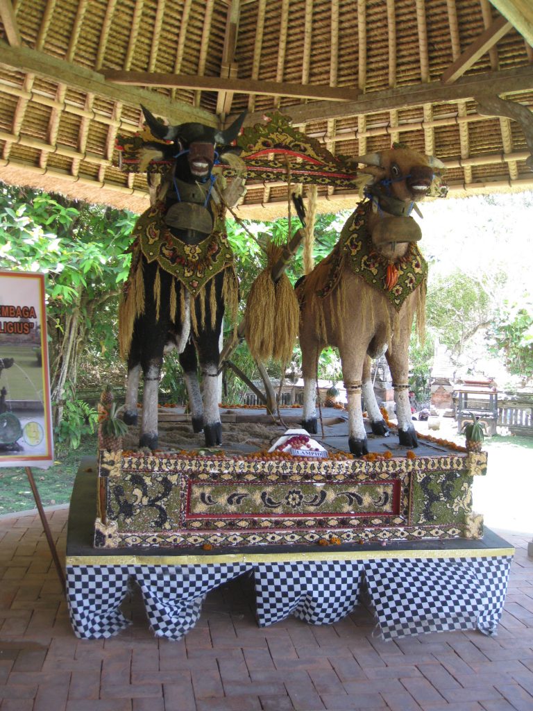 הדמיון היצירתי של המקומיים הוא בלתי נדלה