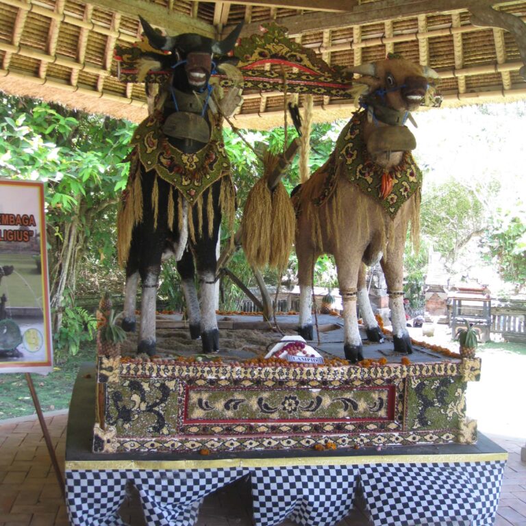 הדמיון היצירתי של המקומיים הוא בלתי נדלה