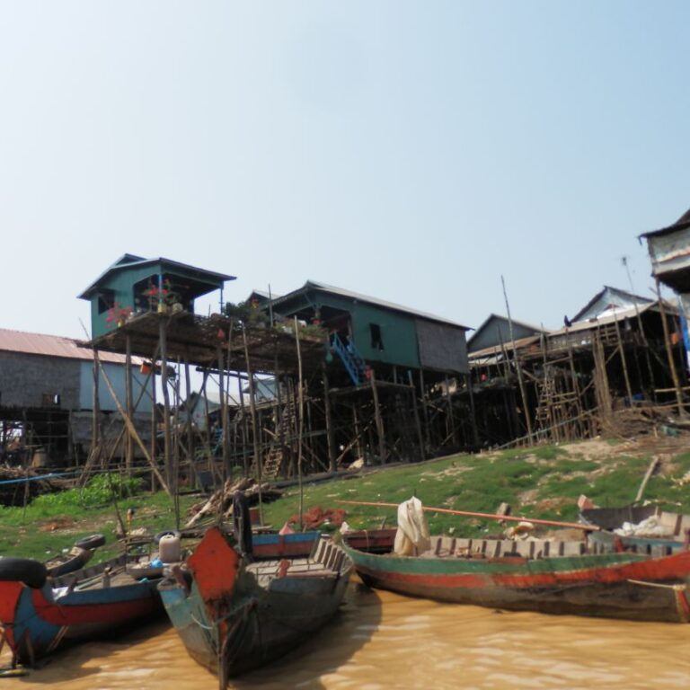 הכפר הצף בשפך של נהר המקונג