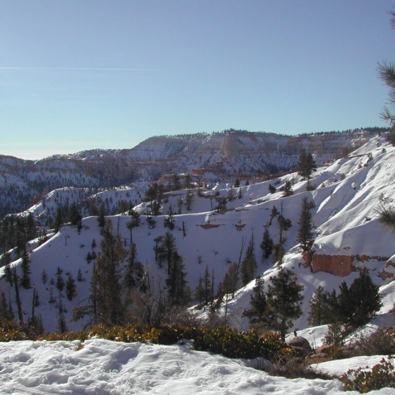 המדבר יות בארצות הברית מכוסות בשלג