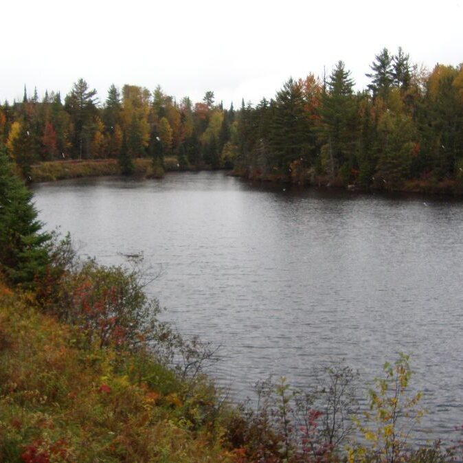 המראה הנשקף מהרכבת במסעה בהרי אדירונדק