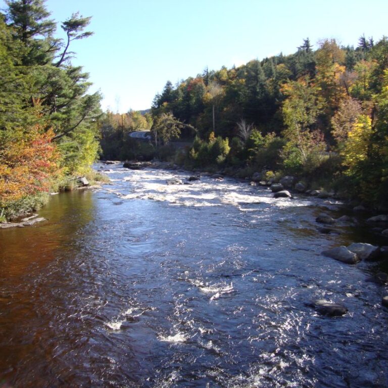 הנהר הזורם בדרך למפלי ג'ורג