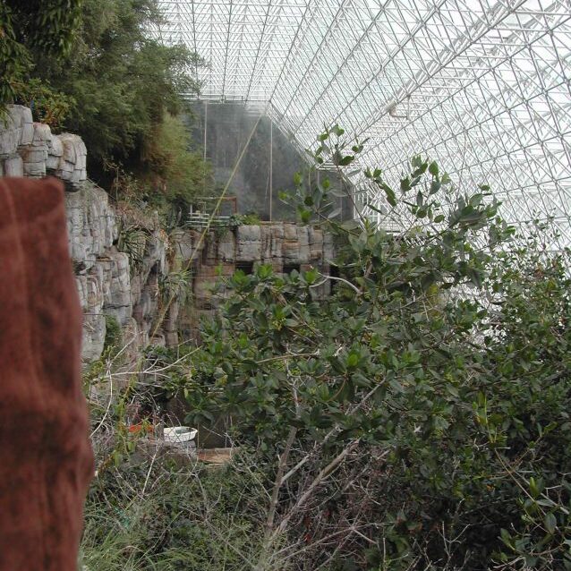 הנסיון לבנות חיים עצמאים על כוכבי לכת