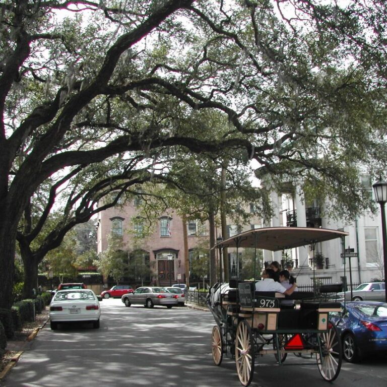 העיר סוואנה בג'ורג'יה בדרום ארצות הברית