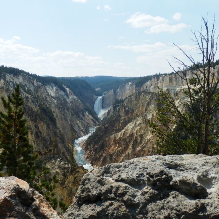 הקניון שחפר נהר הילוסטון בשמורה הנושאת את שמו