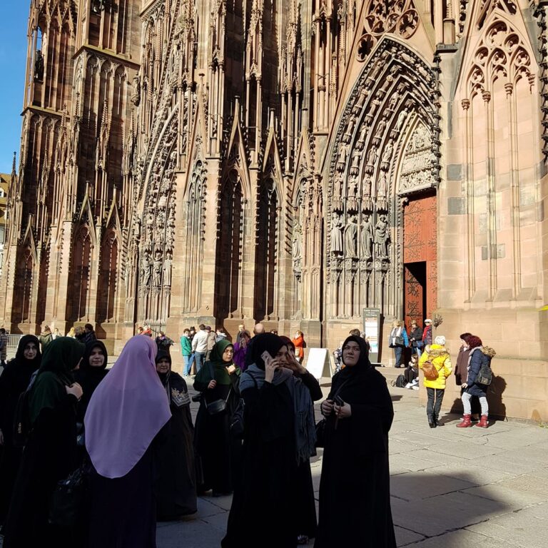 השלג שכיסה את מכוניתנו בבוקר חורפי בקולמאר, צרפת