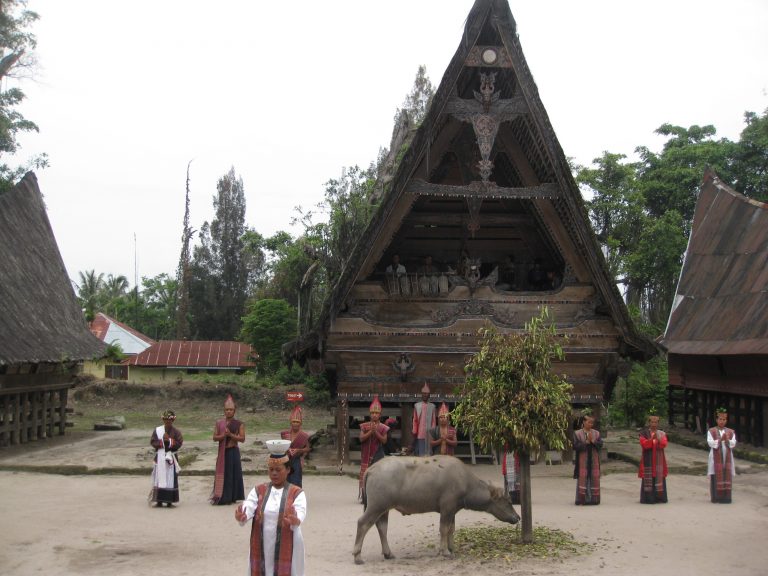 השור עומד להעלות לקורבן בטקס קבורה מסורתי