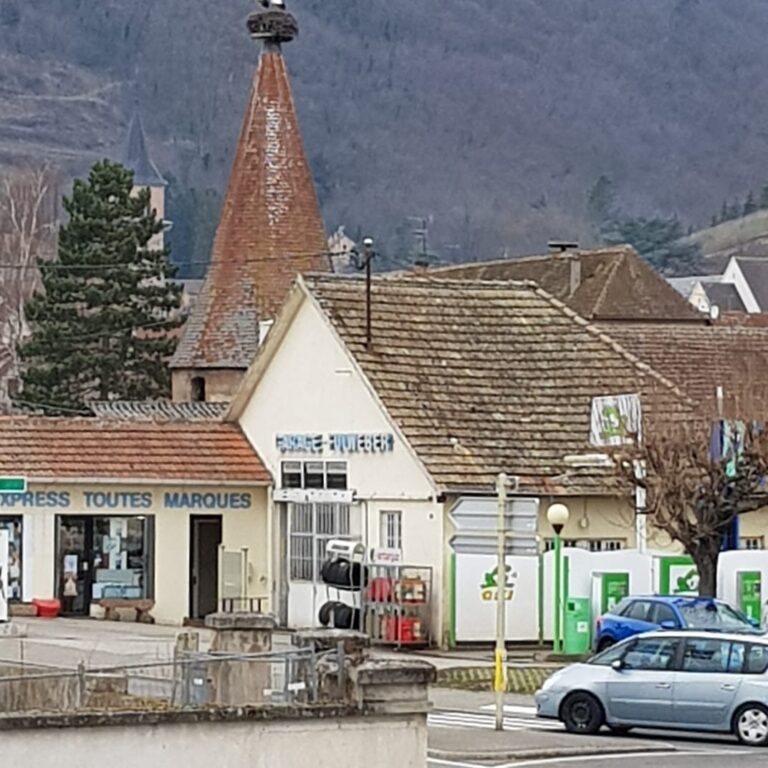 זוג חסידות הקדימו את בואן ובנו בקולמאר קן לתפארת