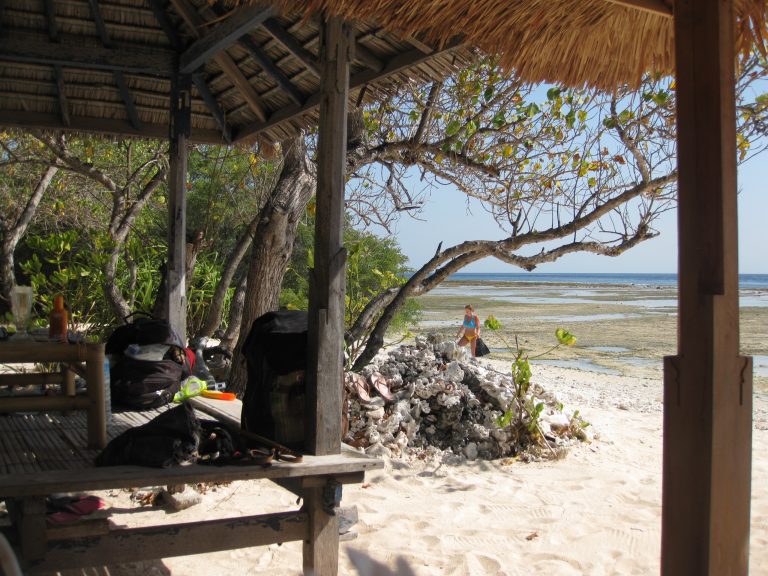 זולה אינדונזית