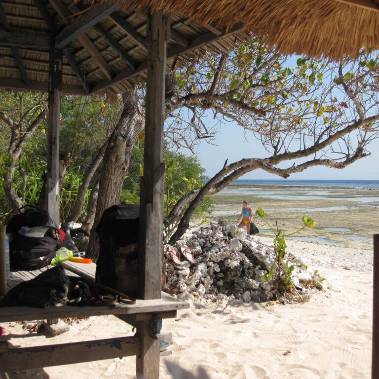 זולה אינדונזית